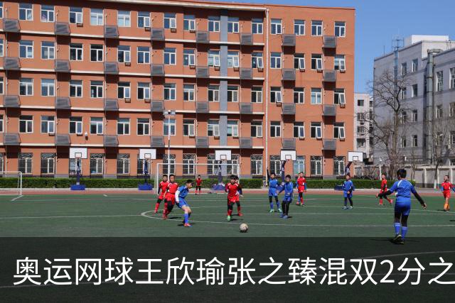 奥运网球王欣瑜张之臻混双2分之差摘银 创造历史